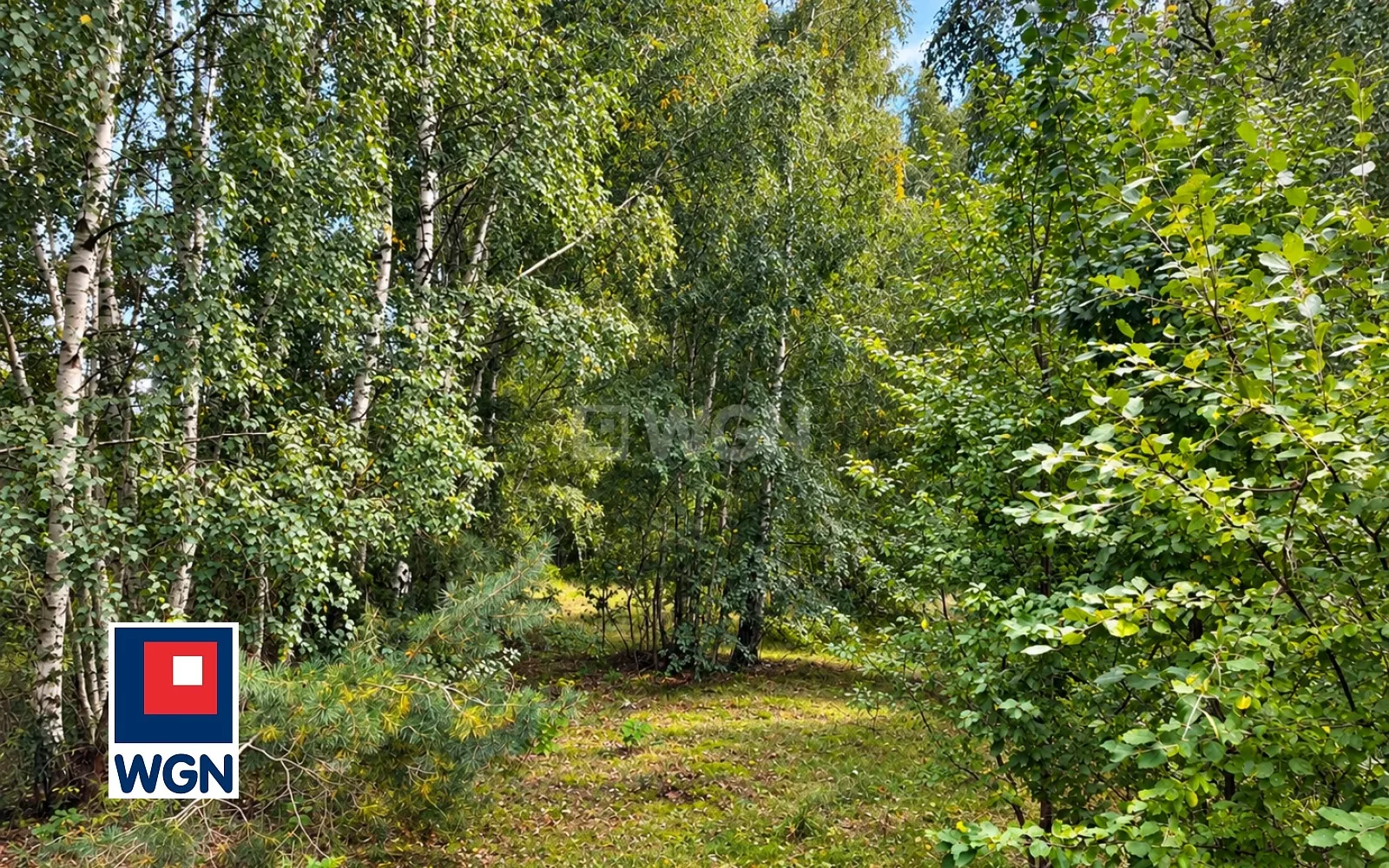 Grunt budowlany jednorodzinny na  sprzedaż Topola Osiedle - Wyjątkowy teren przy lesie | 5000 m2