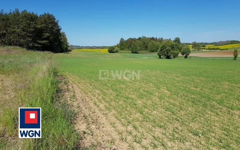 Grunt budowlany jednorodzinny na  sprzedaż Bogaczewo - Sprzedam działki budowlane na Mazurach .MPZP.